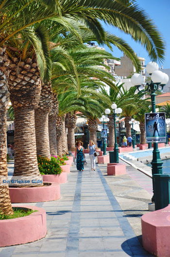 Sitia | Lassithi Kreta | Griekse Gids foto 21 - Foto van https://www.grieksegids.nl/fotos/kreta-lassithi/normaal/kreta-grieksegids-095.jpg