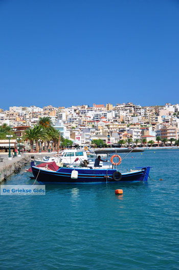 Sitia | Lassithi Kreta | Griekse Gids foto 25 - Foto van https://www.grieksegids.nl/fotos/kreta-lassithi/normaal/kreta-grieksegids-099.jpg