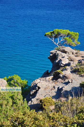 Agia Fotia | Lassithi Kreta | Foto 9 - Foto van https://www.grieksegids.nl/fotos/kreta-lassithi/normaal/kreta-grieksegids-207.jpg