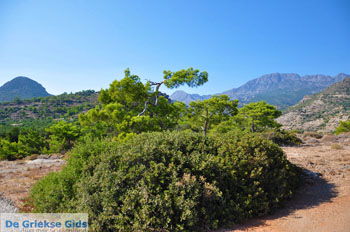 Agia Fotia | Lassithi Kreta | Foto 18 - Foto van https://www.grieksegids.nl/fotos/kreta-lassithi/normaal/kreta-grieksegids-216.jpg
