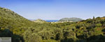 GriechenlandWeb Achlada Heraklion Kreta - Foto Markos Mourtzanakis