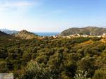 GriechenlandWeb Achlada Heraklion Kreta - Foto Markos Mourtzanakis