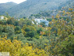 GriechenlandWeb Achlada Heraklion Kreta - Foto Markos Mourtzanakis