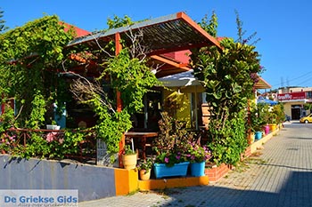 Agia Marina Kreta - Departement Chania - Foto 3 - Foto van https://www.grieksegids.nl/fotos/kreta/agia-marina/normaal/agia-marina-kreta-003.jpg