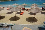 GriechenlandWeb Agia Pelagia Heraklion Kreta - Foto GriechenlandWeb.de