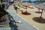 GriechenlandWeb Agia Pelagia Heraklion Kreta - Foto GriechenlandWeb.de