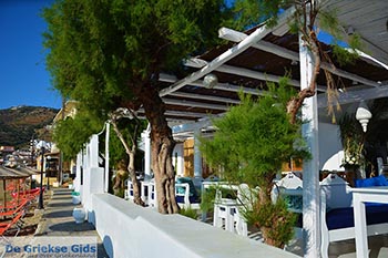 Agia Pelagia Kreta - Departement Heraklion - Foto 18 - Foto van https://www.grieksegids.nl/fotos/kreta/agia-pelagia/normaal/agia-pelagia-kreta-018.jpg