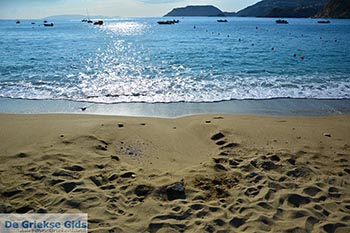 Agia Pelagia Kreta - Departement Heraklion - Foto 25 - Foto van https://www.grieksegids.nl/fotos/kreta/agia-pelagia/normaal/agia-pelagia-kreta-025.jpg