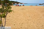 GriechenlandWeb Agioi Apostoloi Chania Kreta - Foto GriechenlandWeb.de