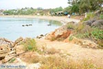 GriechenlandWeb Agioi Apostoloi Chania Kreta - Foto GriechenlandWeb.de