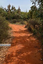 GriechenlandWeb Agioi Apostoloi Chania Kreta - Foto GriechenlandWeb.de
