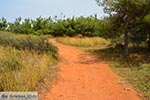 GriechenlandWeb Agioi Apostoloi Chania Kreta - Foto GriechenlandWeb.de