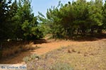 GriechenlandWeb Agioi Apostoloi Chania Kreta - Foto GriechenlandWeb.de