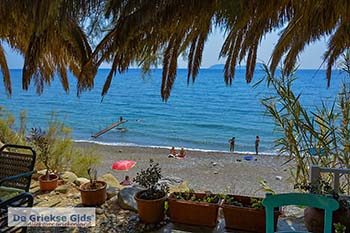 Agios Georgios beach - Rethymnon Kreta 19 - Foto van https://www.grieksegids.nl/fotos/kreta/agios-georgios/normaal/agios-georgios-beach-019.jpg
