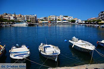 Agios Nikolaos Kreta - Departement Lassithi - Foto 4 - Foto van https://www.grieksegids.nl/fotos/kreta/agios-nikolaos/normaal/agios-nikolaos-kreta-004.jpg