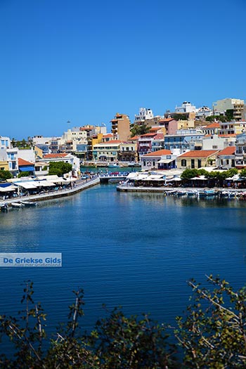 Agios Nikolaos Kreta - Departement Lassithi - Foto 25 - Foto van https://www.grieksegids.nl/fotos/kreta/agios-nikolaos/normaal/agios-nikolaos-kreta-025.jpg