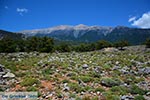 GriechenlandWeb.de Gebirge Lefka Ori Chania Kreta - Foto GriechenlandWeb.de