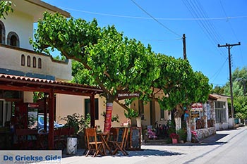 Anopolis Kreta - Departement Chania - Foto 7 - Foto van https://www.grieksegids.nl/fotos/kreta/anopolis/normaal/anopolis-kreta-007.jpg