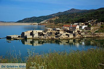 Aposelemis Kreta - Departement Heraklion - Foto 18 - Foto van https://www.grieksegids.nl/fotos/kreta/aposelemis/normaal/aposelemis-kreta-018.jpg