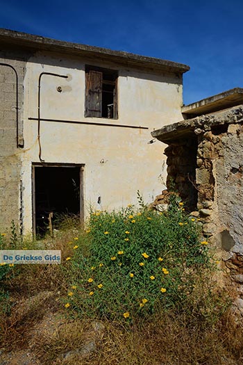 Aposelemis Kreta - Departement Heraklion - Foto 24 - Foto van https://www.grieksegids.nl/fotos/kreta/aposelemis/normaal/aposelemis-kreta-024.jpg