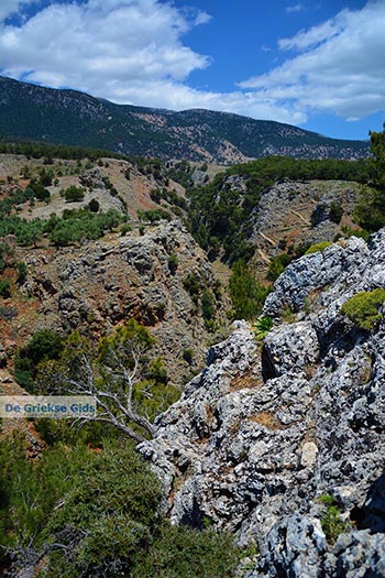 Aradena Kreta - Departement Chania - Foto 14 - Foto van https://www.grieksegids.nl/fotos/kreta/aradena/normaal/aradena-kreta-014.jpg