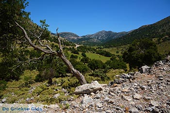 Askifou Kreta - Departement Chania - Foto 5 - Foto van https://www.grieksegids.nl/fotos/kreta/askifou/normaal/askifou-kreta-005.jpg