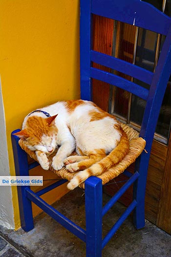 Chania stad Kreta - Departement Chania - Foto 34 - Foto van https://www.grieksegids.nl/fotos/kreta/chania-stad/normaal/chania-stad-kreta-034.jpg