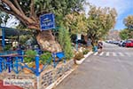Damnoni Kreta - Rethymnon Kreta Griekenland  - Foto van De Griekse Gids