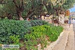 Damnoni Kreta - Rethymnon Kreta Griekenland  - Foto van De Griekse Gids