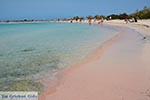 GriechenlandWeb Elafonisi Chania Kreta - Foto GriechenlandWeb.de