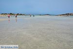 GriechenlandWeb.de Elafonisi Chania Kreta - Foto GriechenlandWeb.de