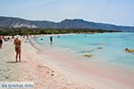 Elafonisi Kreta - Departement Chania - Foto 26 - Foto van De Griekse Gids