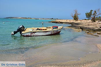 Elafonisi Kreta - Departement Chania - Foto 1 - Foto van https://www.grieksegids.nl/fotos/kreta/elafonisi/normaal/elafonisi-kreta-001.jpg
