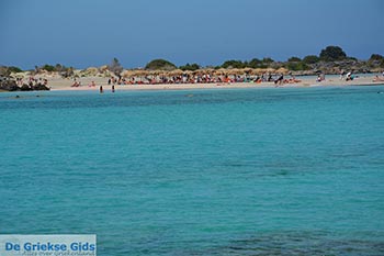 Elafonisi Kreta - Departement Chania - Foto 4 - Foto van https://www.grieksegids.nl/fotos/kreta/elafonisi/normaal/elafonisi-kreta-004.jpg
