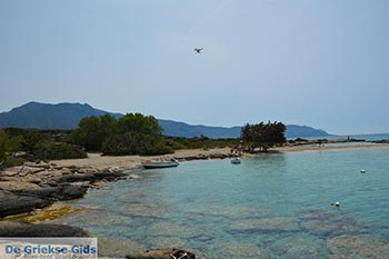 Elafonisi Kreta - Departement Chania - Foto 6 - Foto van https://www.grieksegids.nl/fotos/kreta/elafonisi/normaal/elafonisi-kreta-006.jpg
