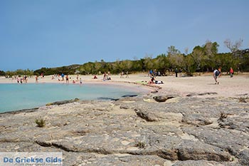 Elafonisi Kreta - Departement Chania - Foto 11 - Foto van https://www.grieksegids.nl/fotos/kreta/elafonisi/normaal/elafonisi-kreta-011.jpg
