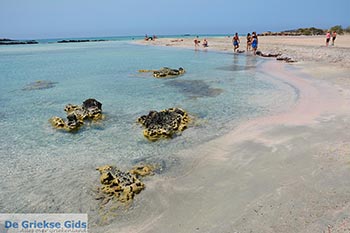 Elafonisi Kreta - Departement Chania - Foto 15 - Foto van https://www.grieksegids.nl/fotos/kreta/elafonisi/normaal/elafonisi-kreta-015.jpg