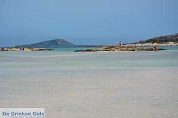 Elafonisi Kreta - Departement Chania - Foto 19 - Foto van https://www.grieksegids.nl/fotos/kreta/elafonisi/normaal/elafonisi-kreta-019.jpg