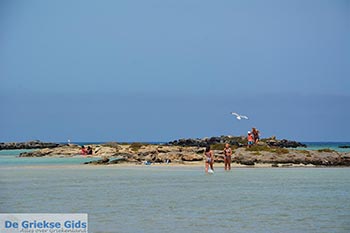 Elafonisi Kreta - Departement Chania - Foto 20 - Foto van https://www.grieksegids.nl/fotos/kreta/elafonisi/normaal/elafonisi-kreta-020.jpg