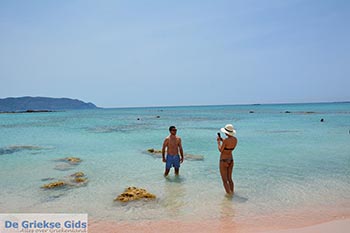 Elafonisi Kreta - Departement Chania - Foto 24 - Foto van https://www.grieksegids.nl/fotos/kreta/elafonisi/normaal/elafonisi-kreta-024.jpg