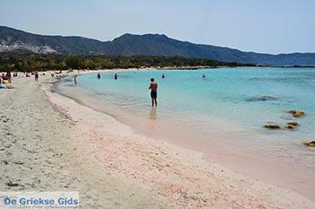 Elafonisi Kreta - Departement Chania - Foto 25 - Foto van https://www.grieksegids.nl/fotos/kreta/elafonisi/normaal/elafonisi-kreta-025.jpg