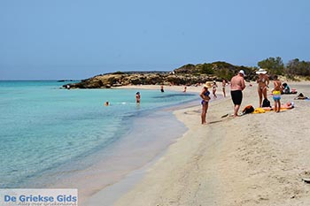 Elafonisi Kreta - Departement Chania - Foto 35 - Foto van https://www.grieksegids.nl/fotos/kreta/elafonisi/normaal/elafonisi-kreta-035.jpg