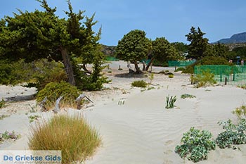 Elafonisi Kreta - Departement Chania - Foto 52 - Foto van https://www.grieksegids.nl/fotos/kreta/elafonisi/normaal/elafonisi-kreta-052.jpg
