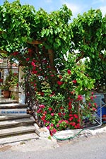 GriechenlandWeb Elos Chania Kreta - Foto GriechenlandWeb.de