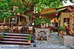 GriechenlandWeb Elos Chania Kreta - Foto GriechenlandWeb.de