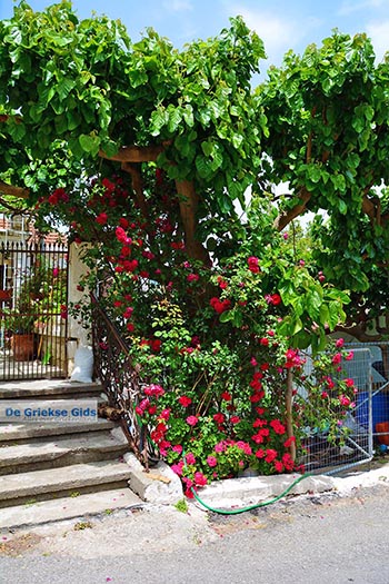 Elos Kreta - Departement Chania - Foto 3 - Foto van https://www.grieksegids.nl/fotos/kreta/elos/normaal/elos-kreta-003.jpg