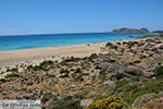 GriechenlandWeb Falasarna Chania Kreta - Foto GriechenlandWeb.de