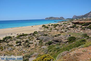 Falasarna Kreta - Departement Chania - Foto 1 - Foto van https://www.grieksegids.nl/fotos/kreta/falasarna/normaal/falasarna-kreta-001.jpg