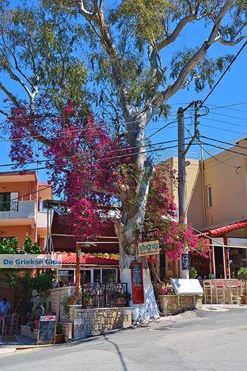 Georgioupolis Kreta - Departement Chania - Foto 22 - Foto van https://www.grieksegids.nl/fotos/kreta/georgioupolis/normaal/georgioupolis-kreta-022.jpg