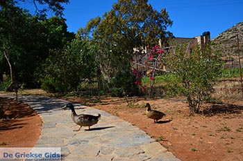 Gouverneto klooster Kreta - Departement Chania - Foto 19 - Foto van https://www.grieksegids.nl/fotos/kreta/gouverneto-klooster/normaal/gouverneto-klooster-kreta-019.jpg